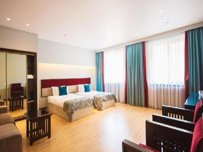 Nemi Museum Hotel Baku image