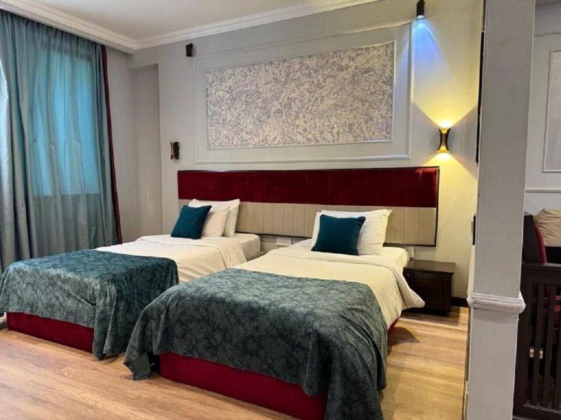 Nemi Museum Hotel Baku image