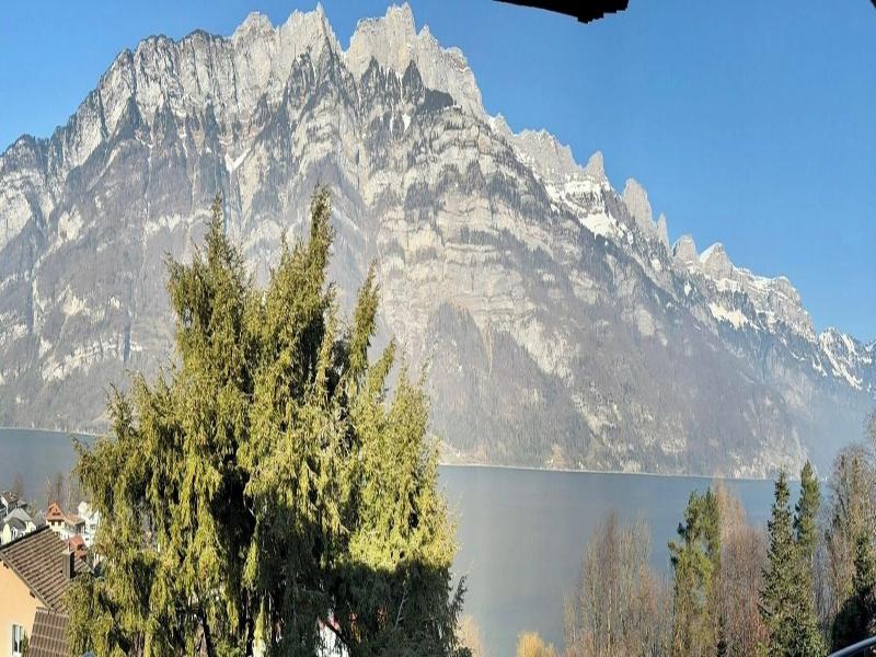 Seeblick Hotel Und Restaurant Rã¶ssli image