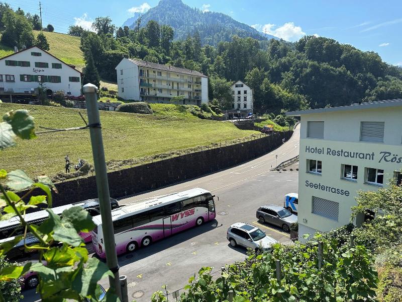 Seeblick Hotel Und Restaurant Rã¶ssli image