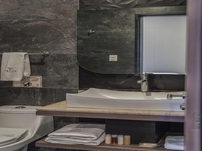 Hotel Kavia Premium image