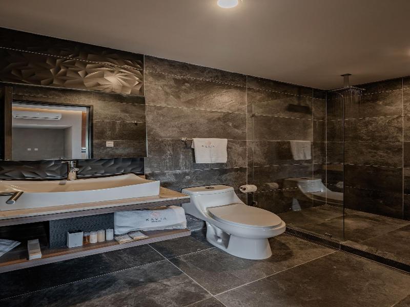 Hotel Kavia Premium image