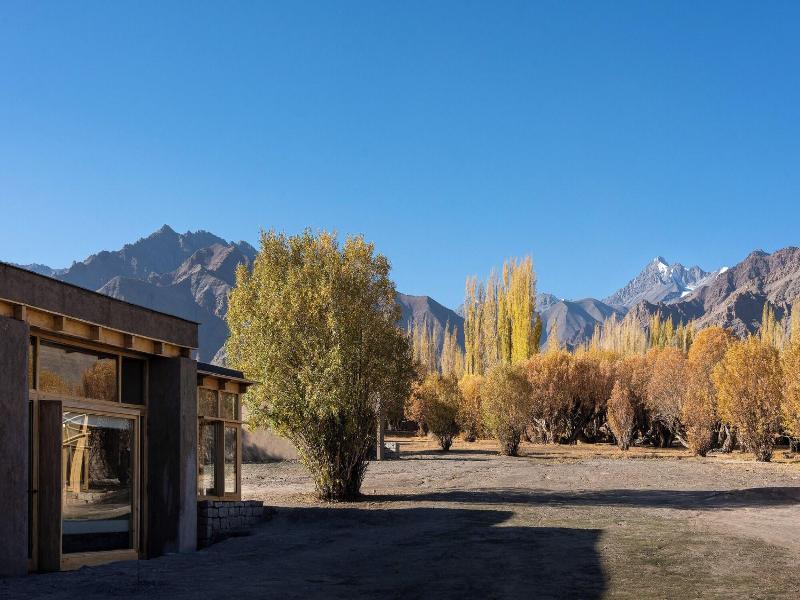 The Postcard In The Himalayan Willows image