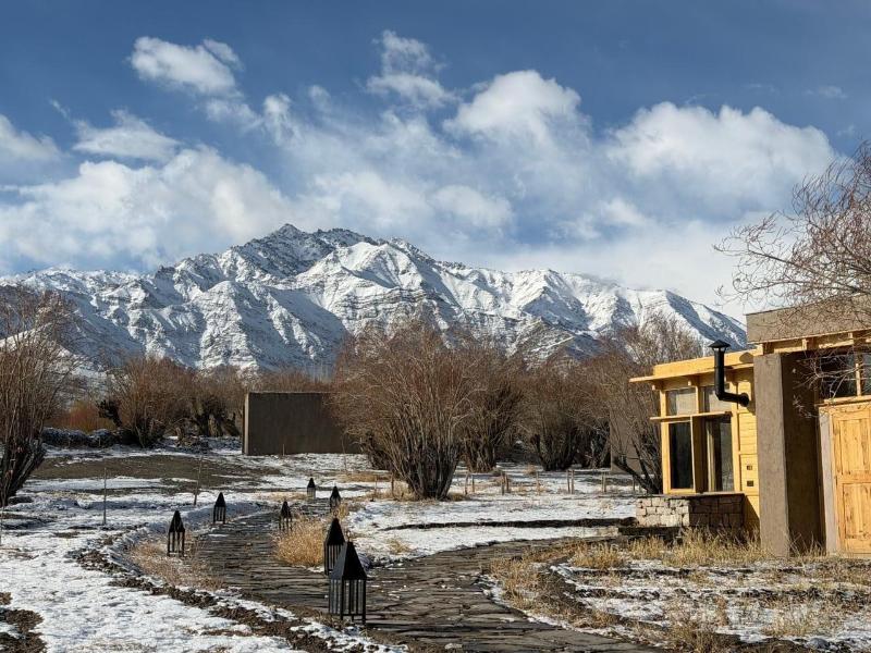 The Postcard In The Himalayan Willows image