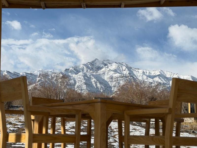 The Postcard In The Himalayan Willows image
