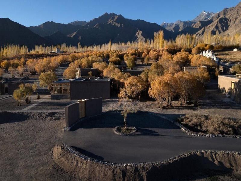 The Postcard In The Himalayan Willows image