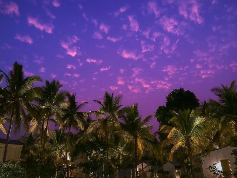 The Postcard On The Arabian Sea image