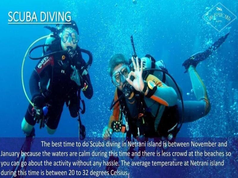 The Postcard On The Arabian Sea image