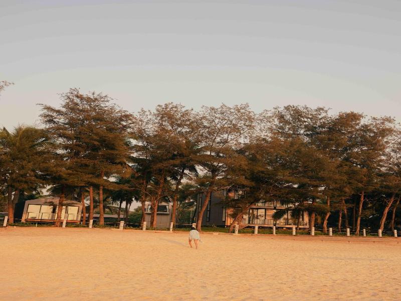 The Postcard On The Arabian Sea image