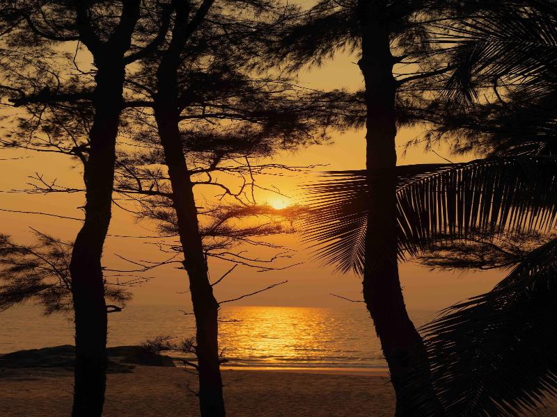 The Postcard On The Arabian Sea image