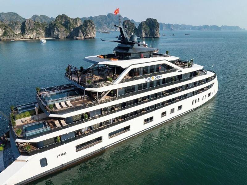 Dora Cruise image