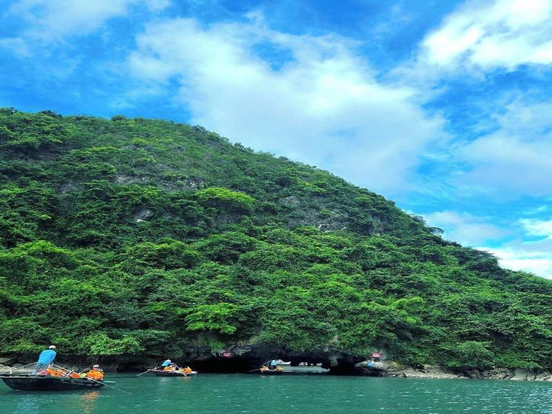 Dora Cruise image