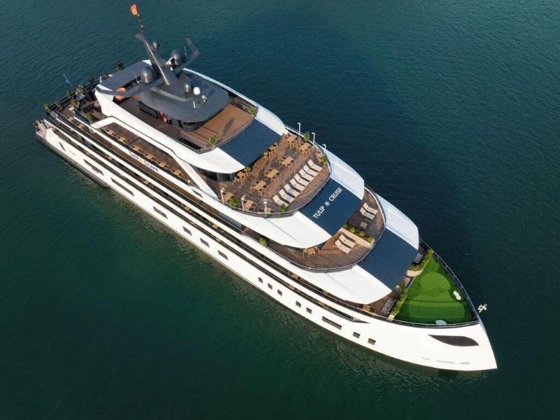 Dora Cruise image