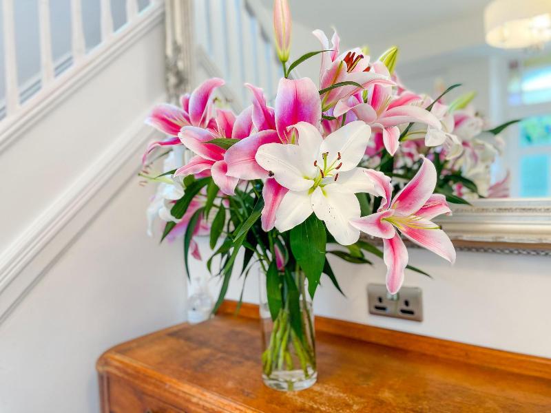 Ashfield Boutique Stays image