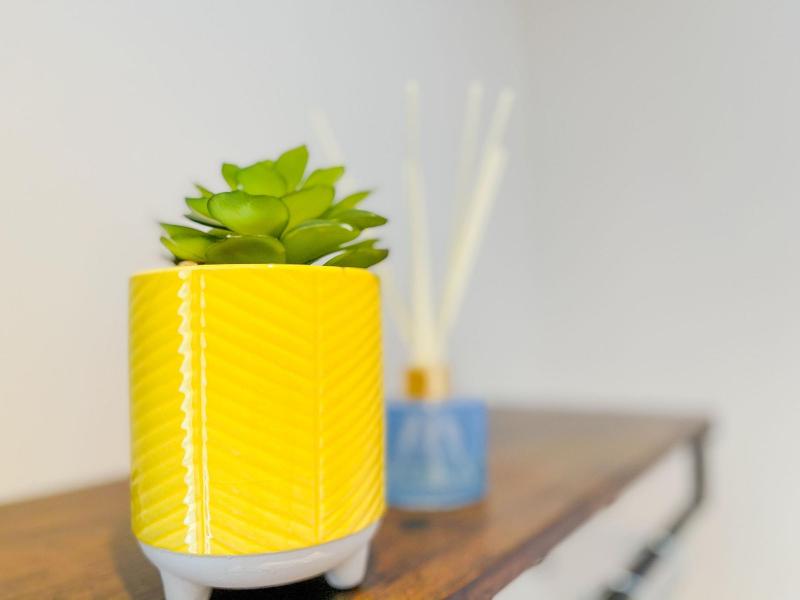 Ashfield Boutique Stays image