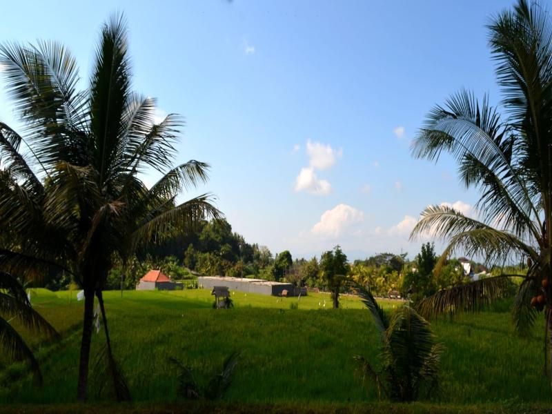 Wahyu Dewata image
