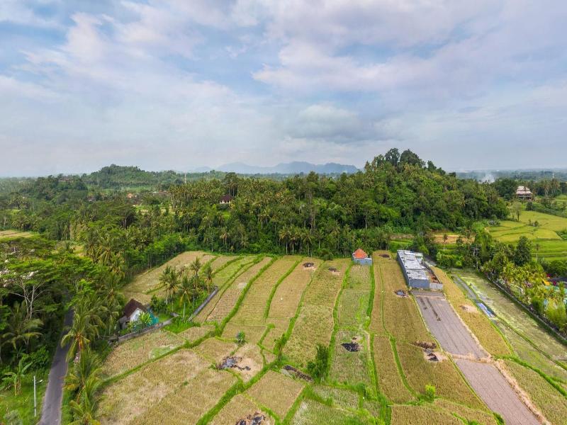 Wahyu Dewata image