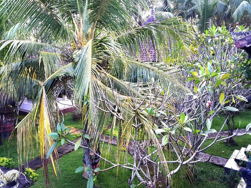 Wahyu Dewata image