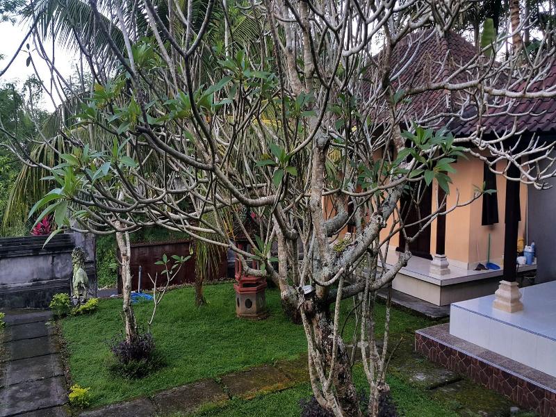Wahyu Dewata image