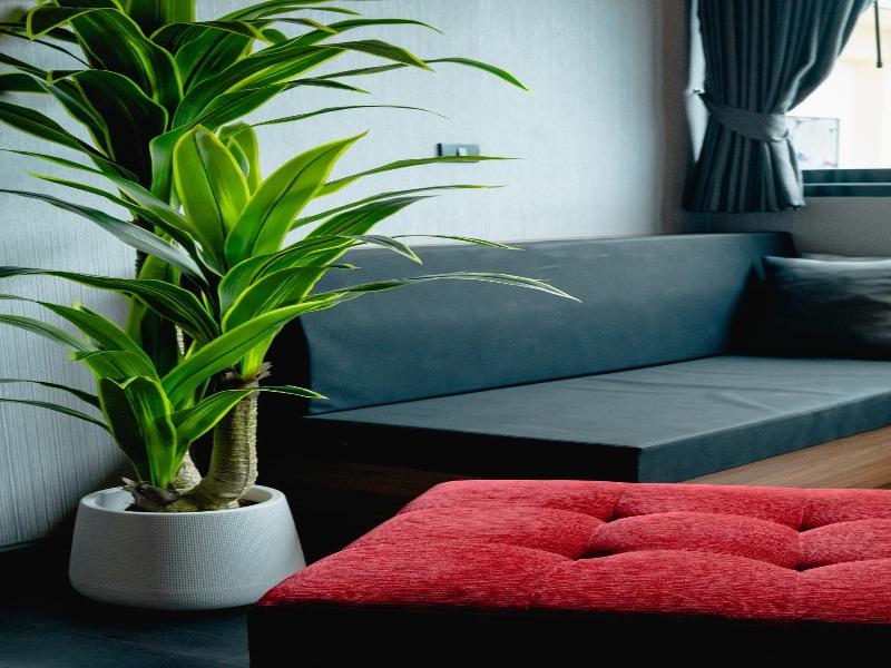 Happy Hotel image