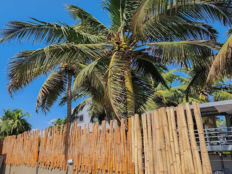 Serenity Terraces Beach Hotel-kokrobite image