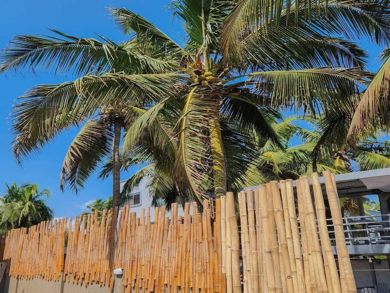 Serenity Terraces Beach Hotel-kokrobite image