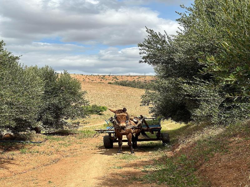 Kasbah Oum Rabia 3