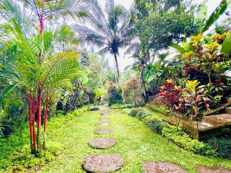 Surya Ubud View And Suites By Eps 2