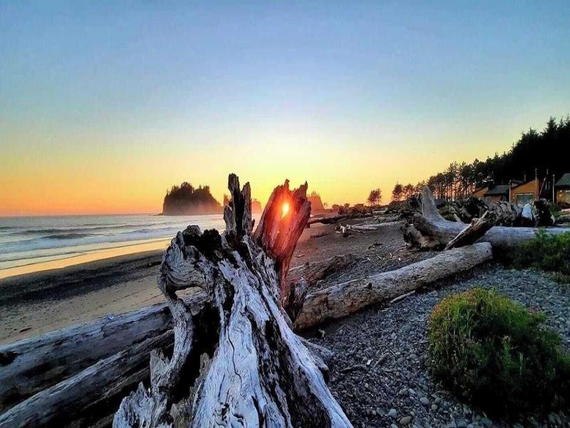 Quileute Oceanside Resort — exterior view