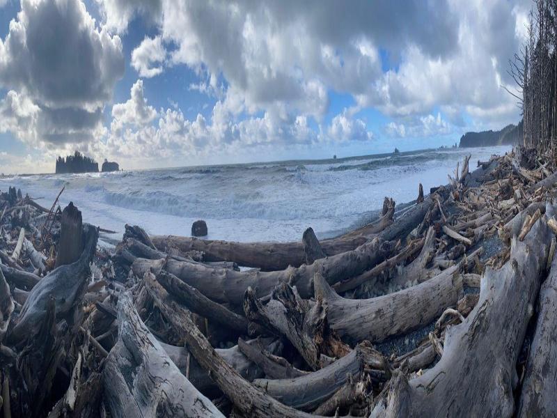 Quileute Oceanside Resort