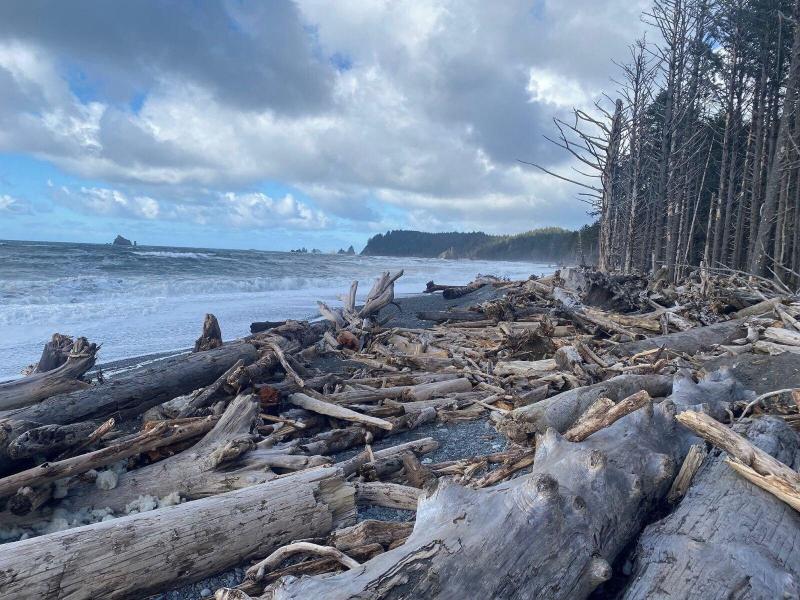 Quileute Oceanside Resort