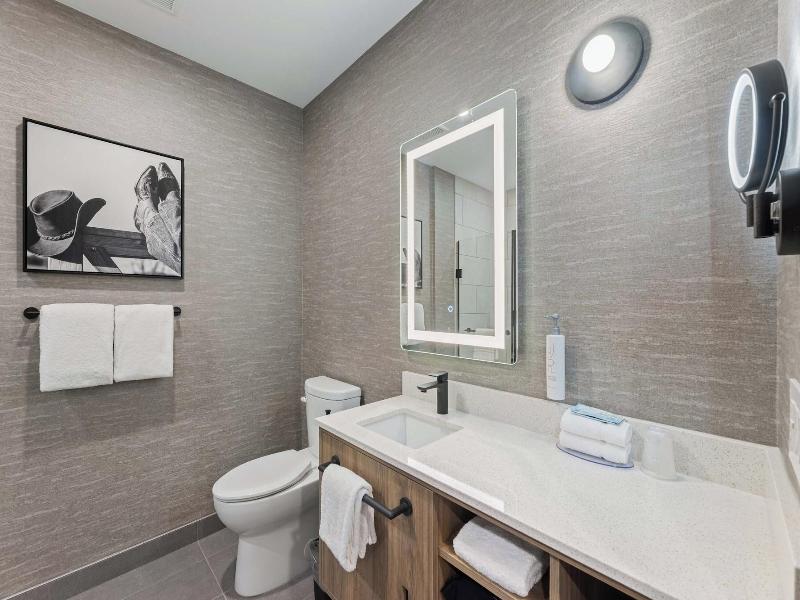 Sandman Signature Dallas Las Colinas Hotel & Sui image