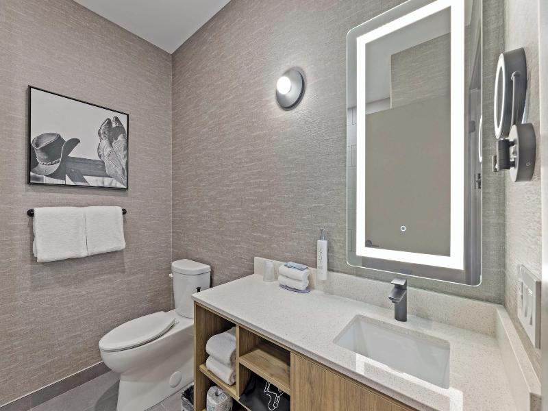 Sandman Signature Dallas Las Colinas Hotel & Sui image