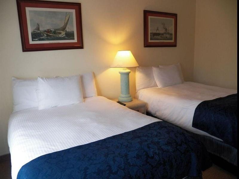 The Beach Rose Inn image