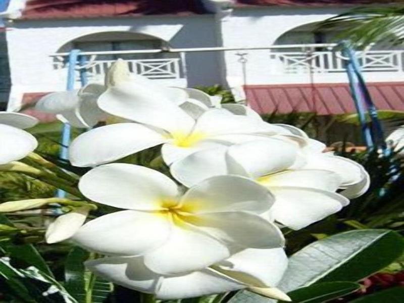 Ocean Villas image