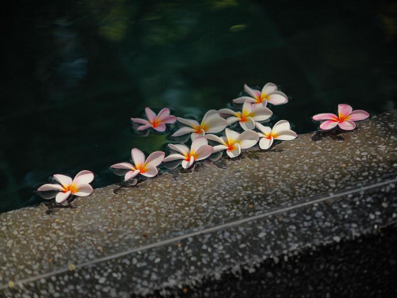 Ocean Villas image