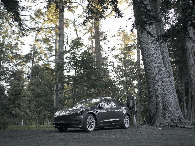 Scp Mendocino Inn And Farm — general view
