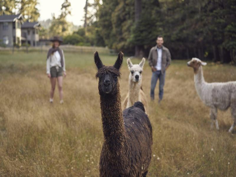Scp Mendocino Inn And Farm