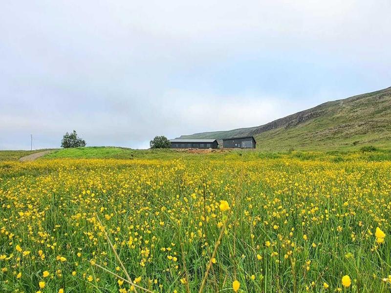 Basalt Hotel image