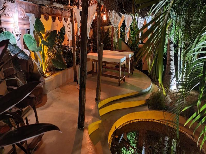 Lions Luxury Eco-resort & Spa image