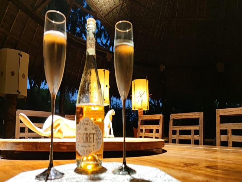 Lions Luxury Eco-resort & Spa image
