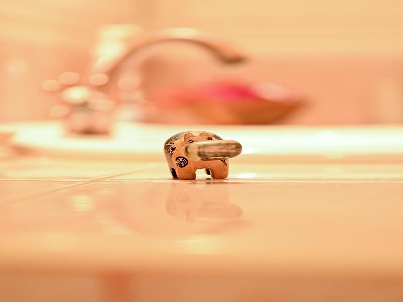 Lions Luxury Eco-resort & Spa image