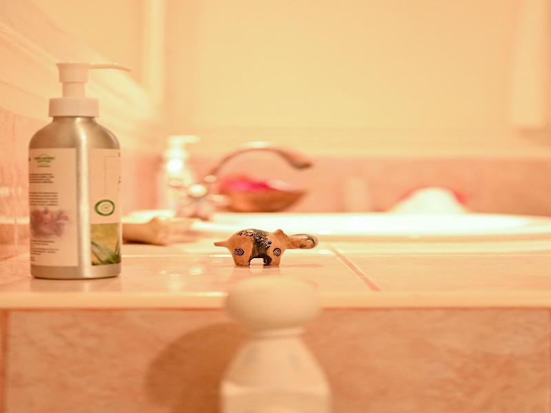 Lions Luxury Eco-resort & Spa image