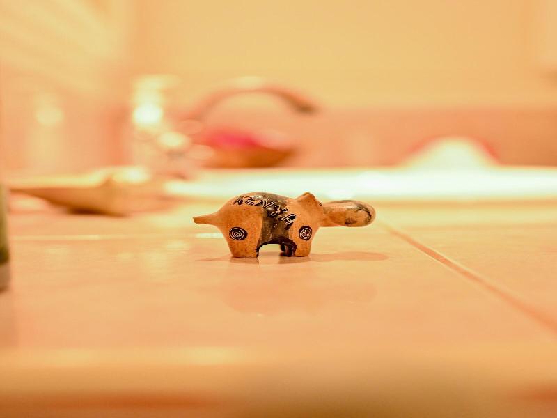 Lions Luxury Eco-resort & Spa image