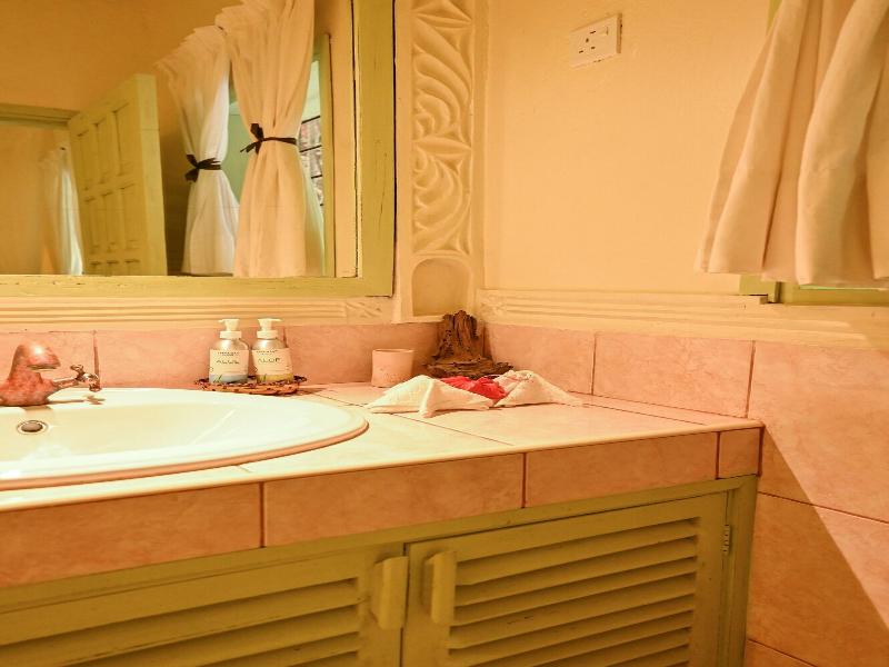 Lions Luxury Eco-resort & Spa image