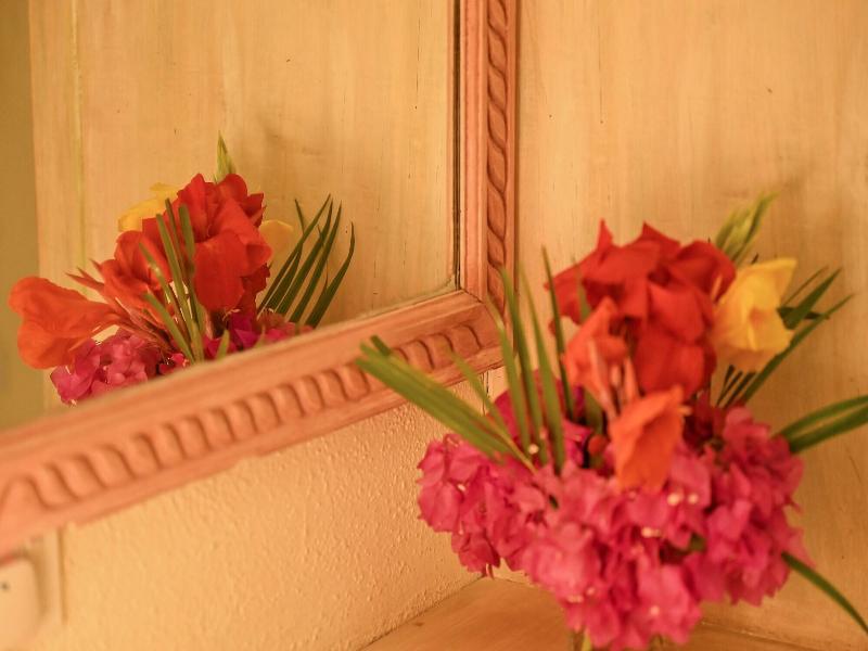 Lions Luxury Eco-resort & Spa image