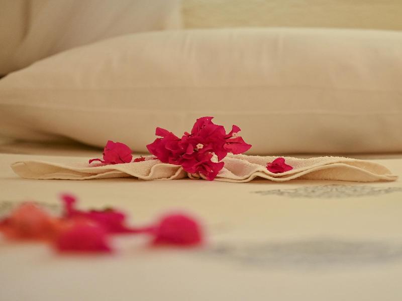 Lions Luxury Eco-resort & Spa image