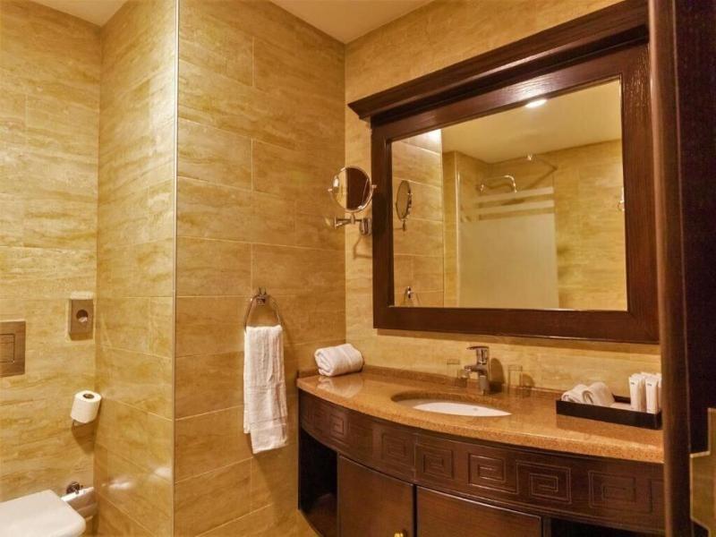 Petra Canyon Hotel image