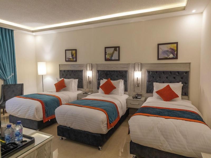 Petra Canyon Hotel image