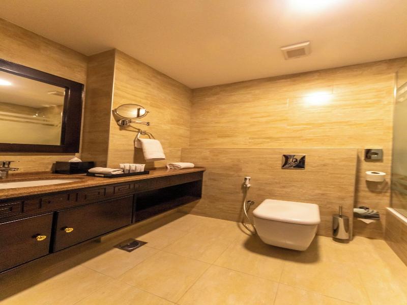 Petra Canyon Hotel image